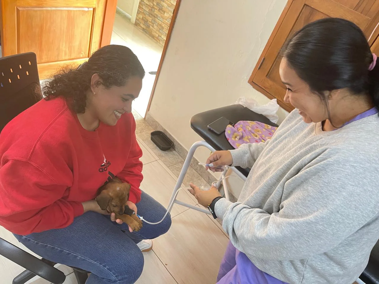 Consulta en el hogar