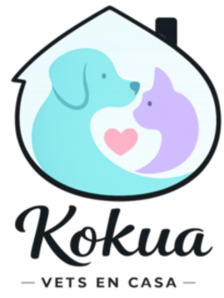 Kokua Vets en Casa